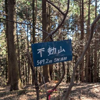 不動山の山頂標識不動山の山頂標識
