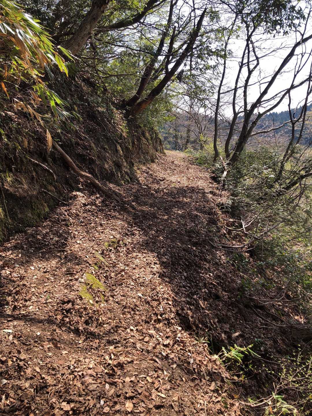 ん！水平歩道っぽい
と思ったら水平歩道でした
知らなかったので大興奮🤩