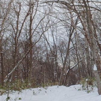 山鼻山(藻岩山5合目)
