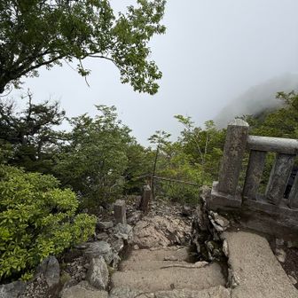 ガスガスになってきて景色は見えず