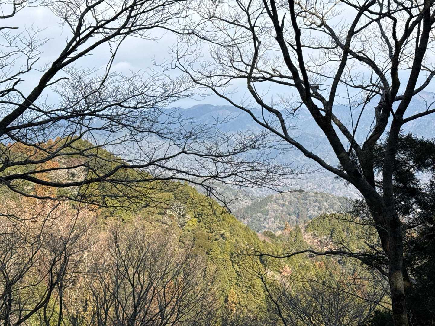 明星ヶ岳取付き-国分寺-国分寺山-明星ヶ岳 往復コースの写真