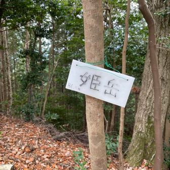 姫岳到着🙌
歩き応えのあるお山で、面白かった🤣
帰りに、丹生温泉立ち寄り♨️
お湯ぬるめで、ゆっくり浸かりました✨
心も身体もぽっかぽか☺️
整いました✨楽しかった😊
