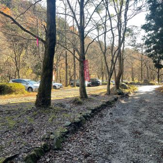 駐車場は広かった