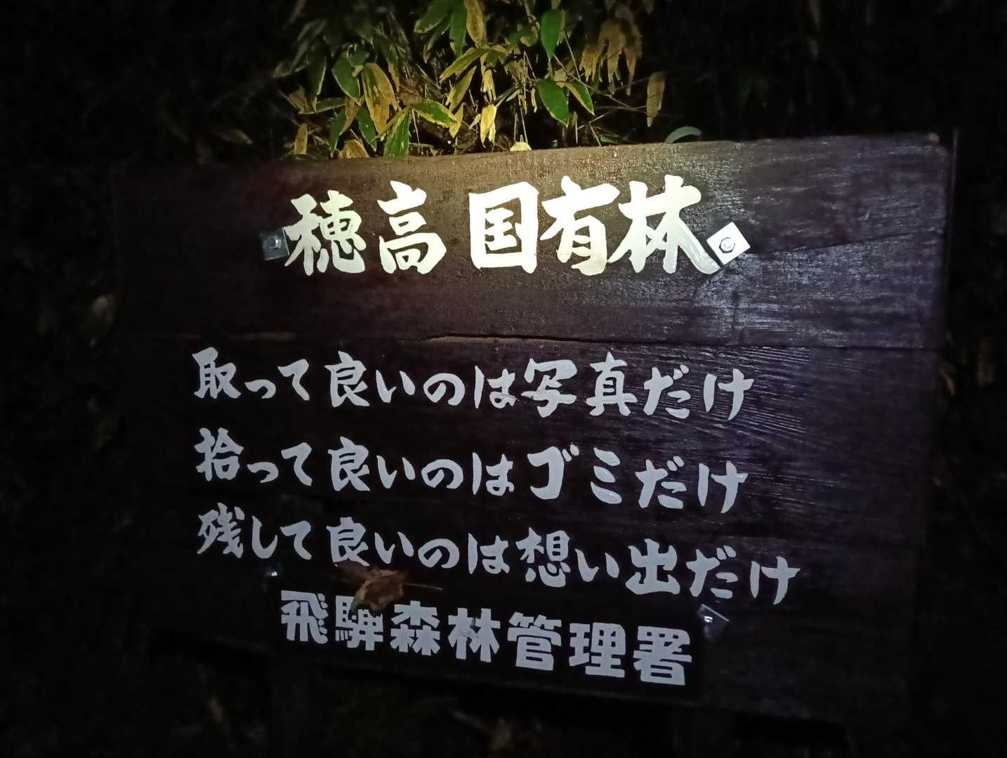 写真、たくさん撮らせていただきます