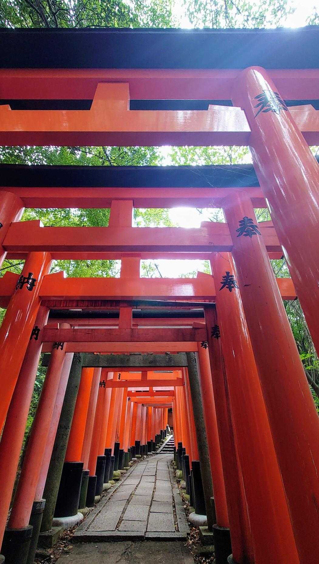日が差すと美しい😍