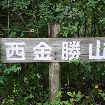 西金勝山