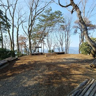お昼ご飯食べるにも最適です。