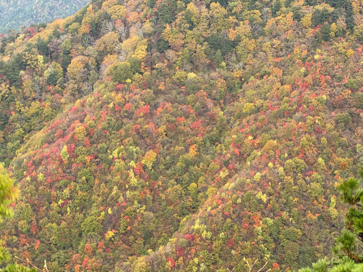山頂から📷この山は紅葉が綺麗🍁