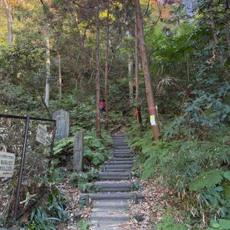 ここから入ります