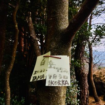 ついでにグレーピークも🚶