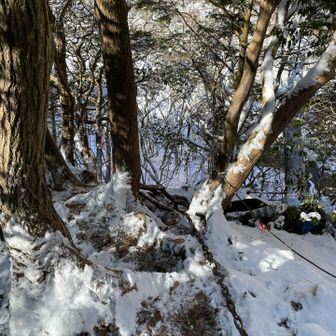 なかなかの登りが続きます💦
この辺から少し岩が出てきたのでストックをしまって両手で岩や木を掴みながら進みました