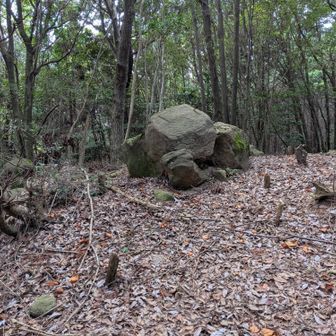あの岩！像に見えませんか？