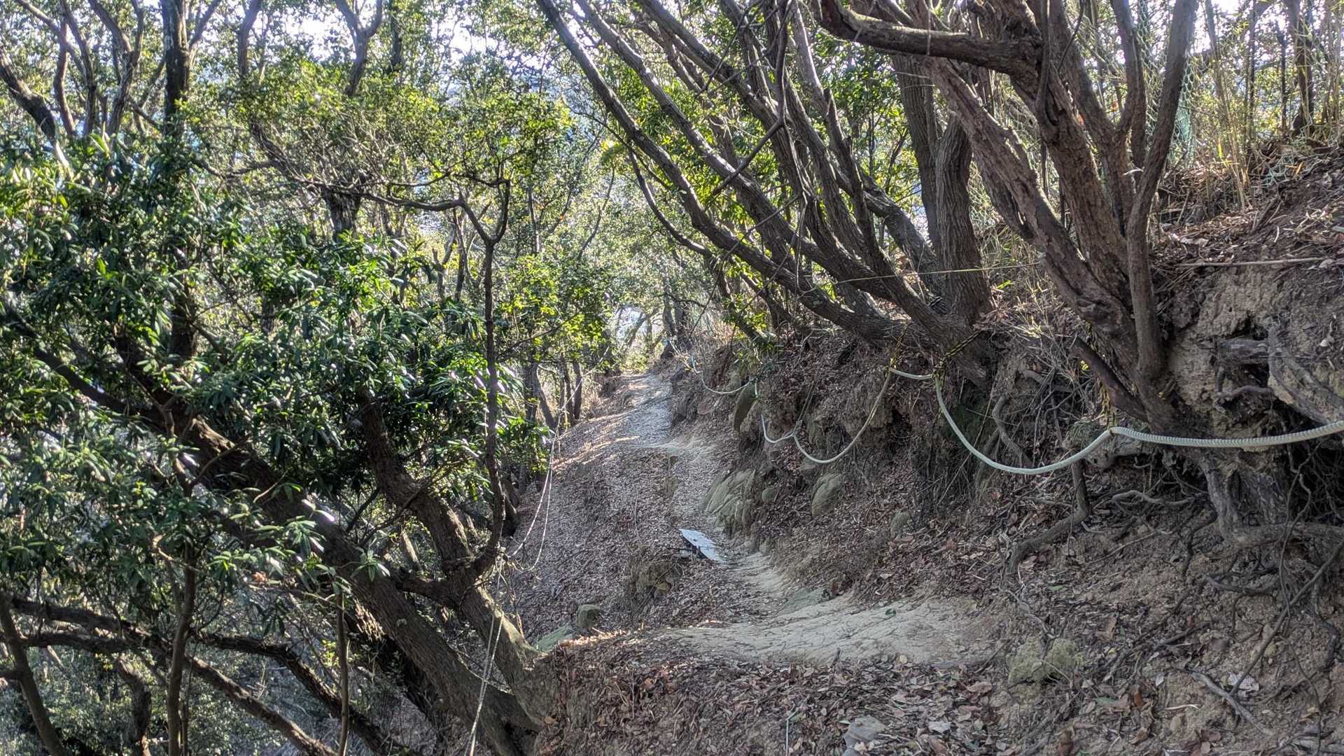 それでも道が乾いていてたすかりました😊