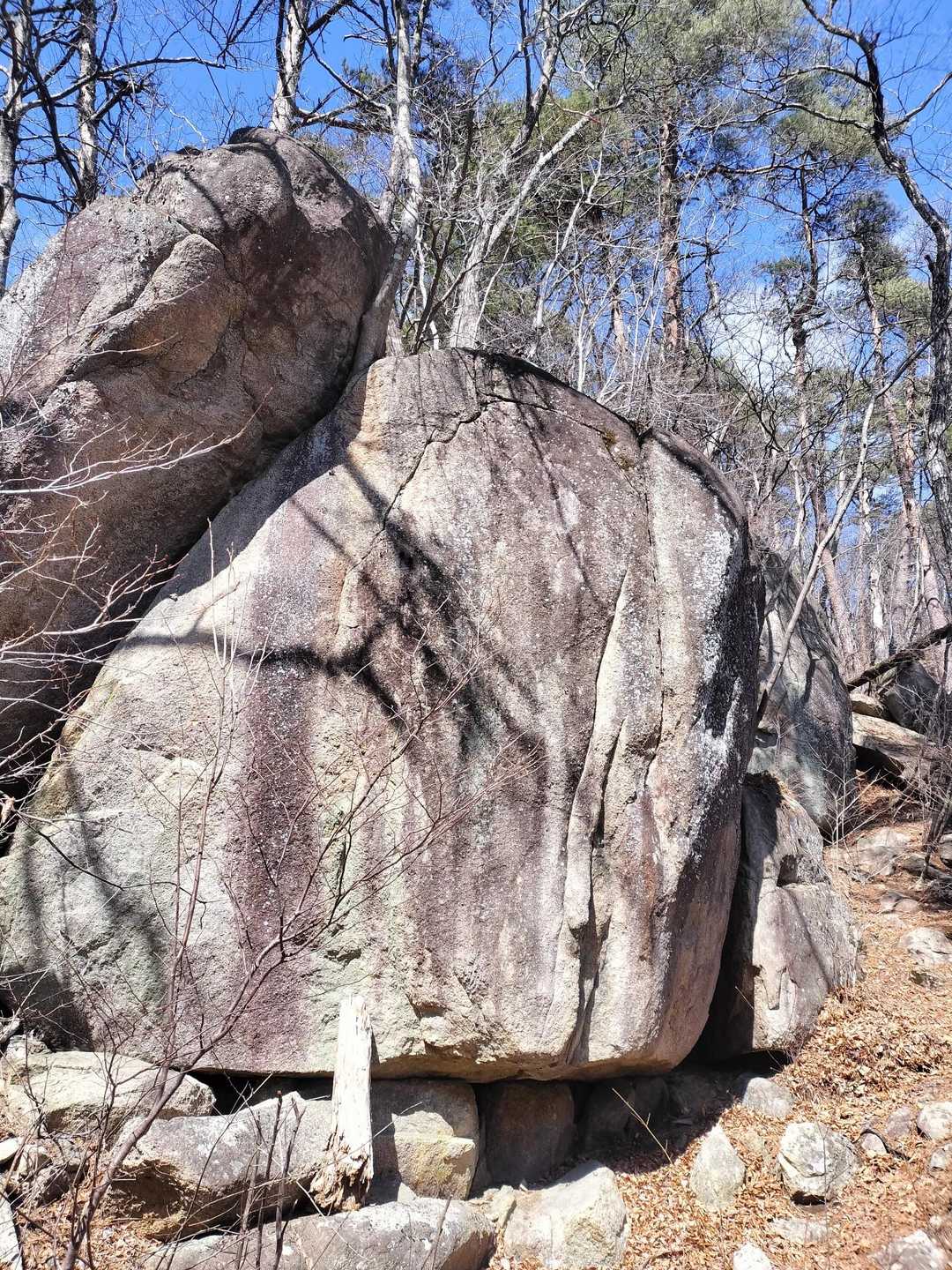 岩岳 周回コースの写真