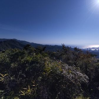 大阪のビル群、六甲山も見えます。