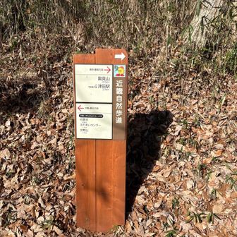 ここも表示がいっぱい