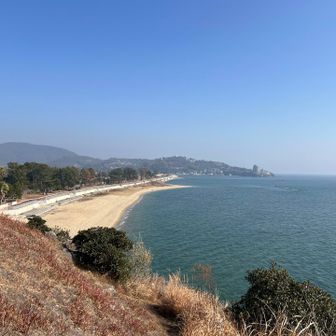 綺麗な海岸線😍