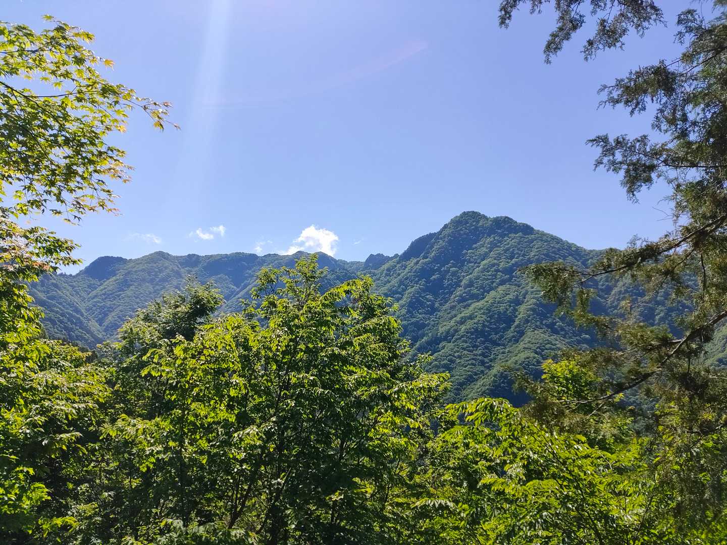 八丁尾根～両神山西岳が目の前に！近すぎて両神だとわかるまで時間がかかった
