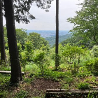 展望台。
広くて開けている場所もあるが緑が濃い。
残念だがここで休憩するより良いポイントは多いように思う。