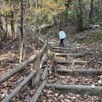 3座目の階段はまあまあキツい😆
でも嫌いじゃない😂