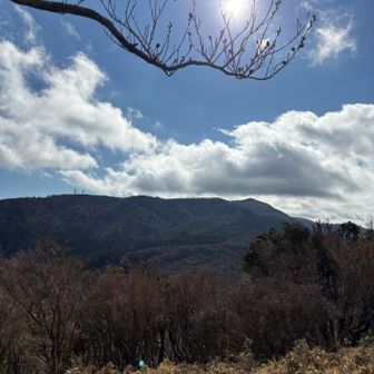 えだ🪾+だるま山⛰️=ちょっとアート🎨