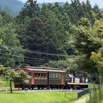 トロッコ列車が走って行った所は、