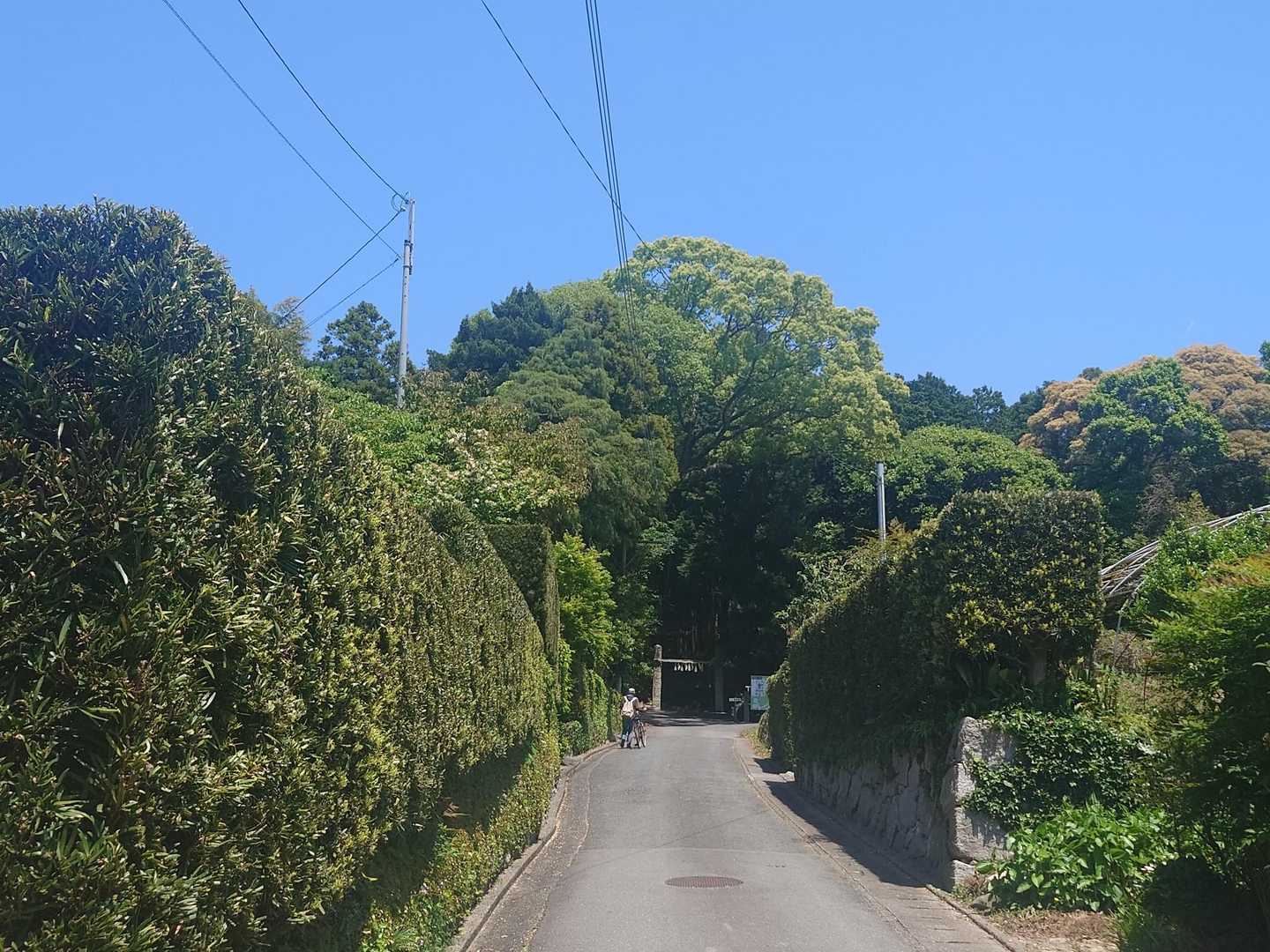 舗装路も少し歩いて
無事🅿️まで戻りました👣