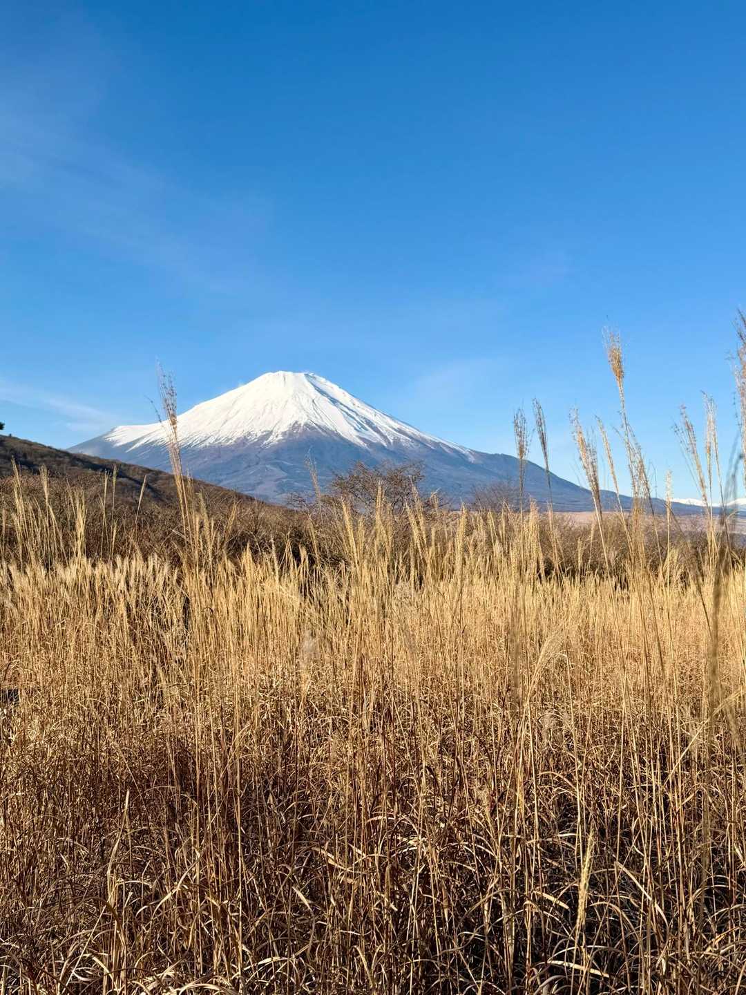 眺めも良くて🗻