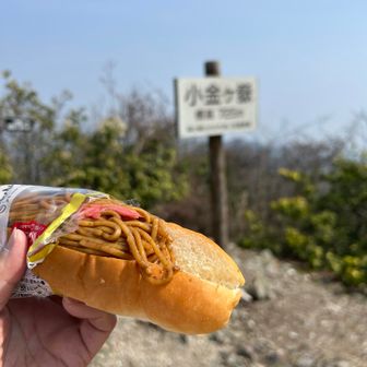 お昼ごはん
この焼きそばパンうま〜い❣️