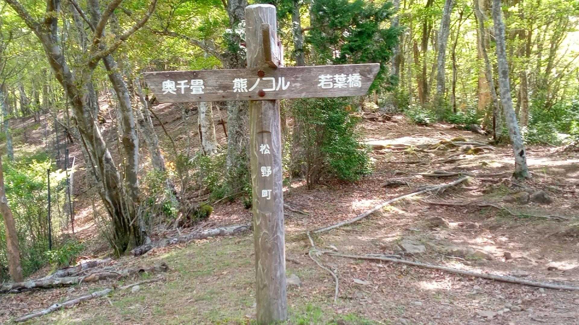 熊のコル