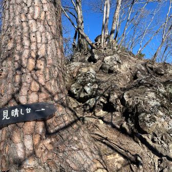 登山道脇から見晴し台へ