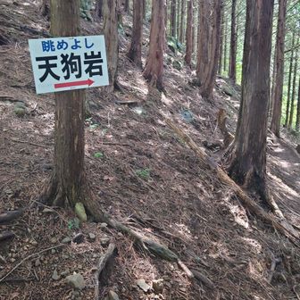 途中に天狗岩があって、寄り道します。