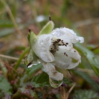 雨？降ってないよ
これ汗だよ
カッパは寒い時以外は着ない主義なの