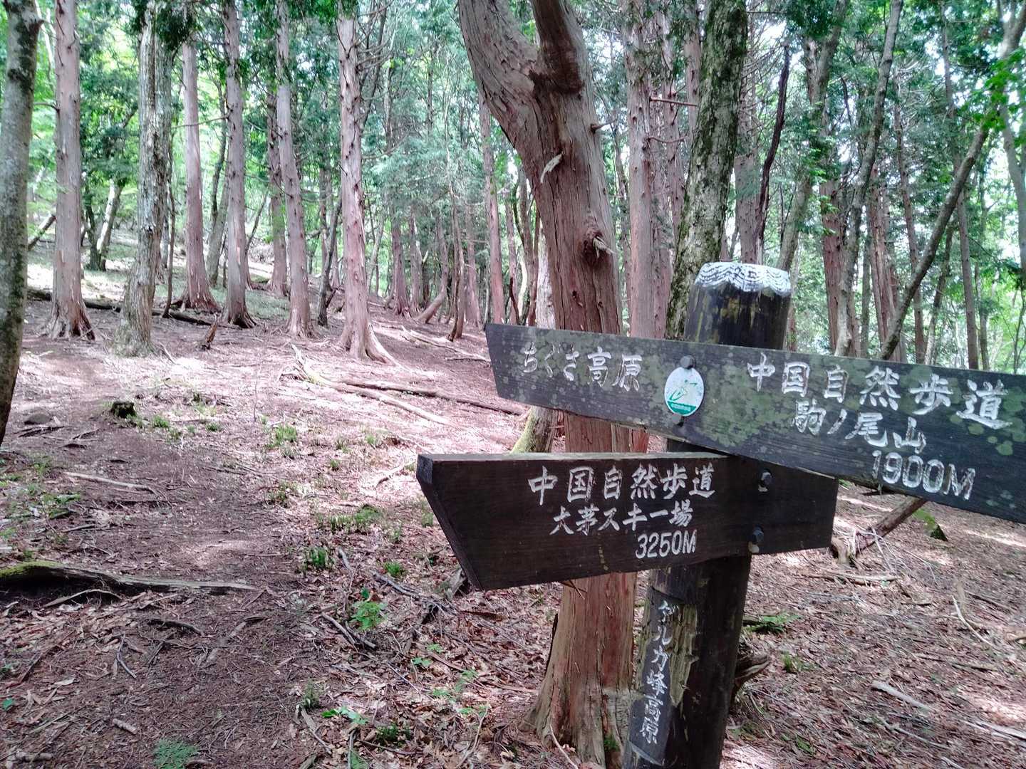 船木山登山口-大海里山-ダルガ峰-長義山・ダルガ峰 スキー 周回コースの写真