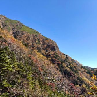 標高が下がると紅葉がちらほら