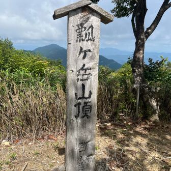 かなり年季入ってる