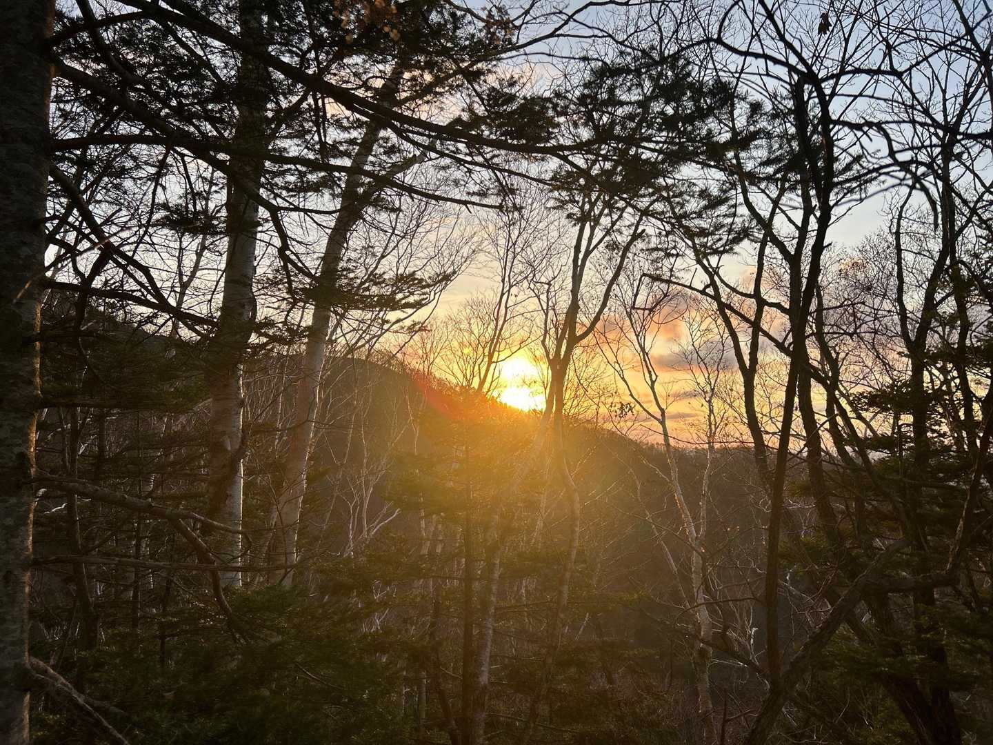 朝陽が上がってきました