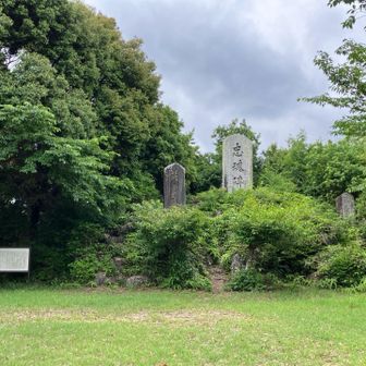 広い山頂✨