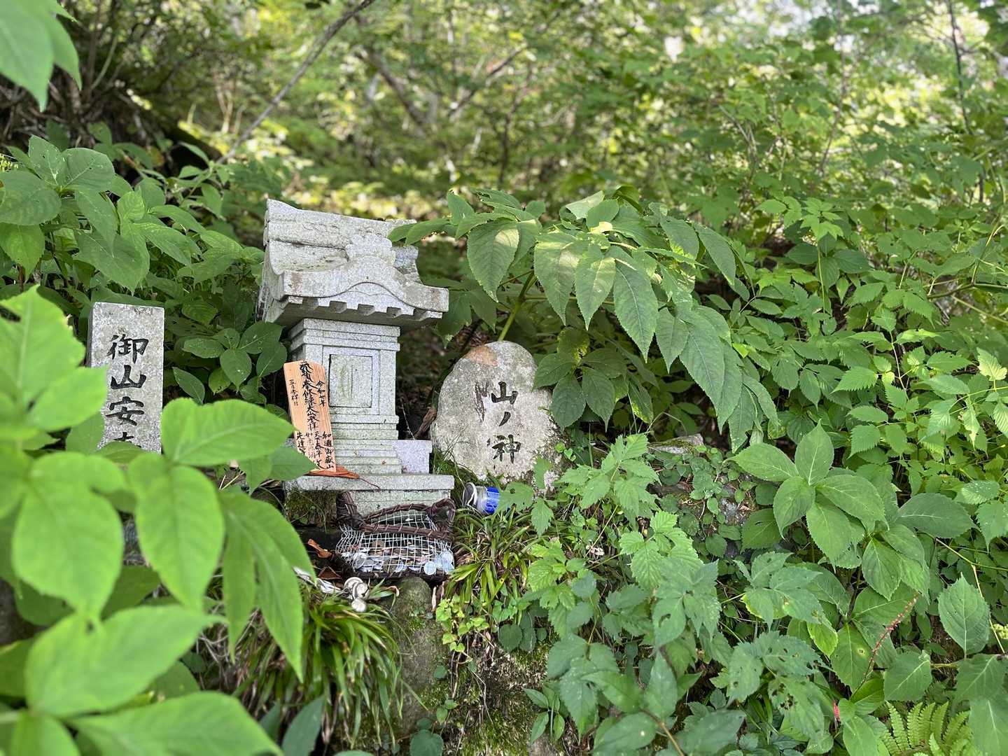 山の神様です🙏