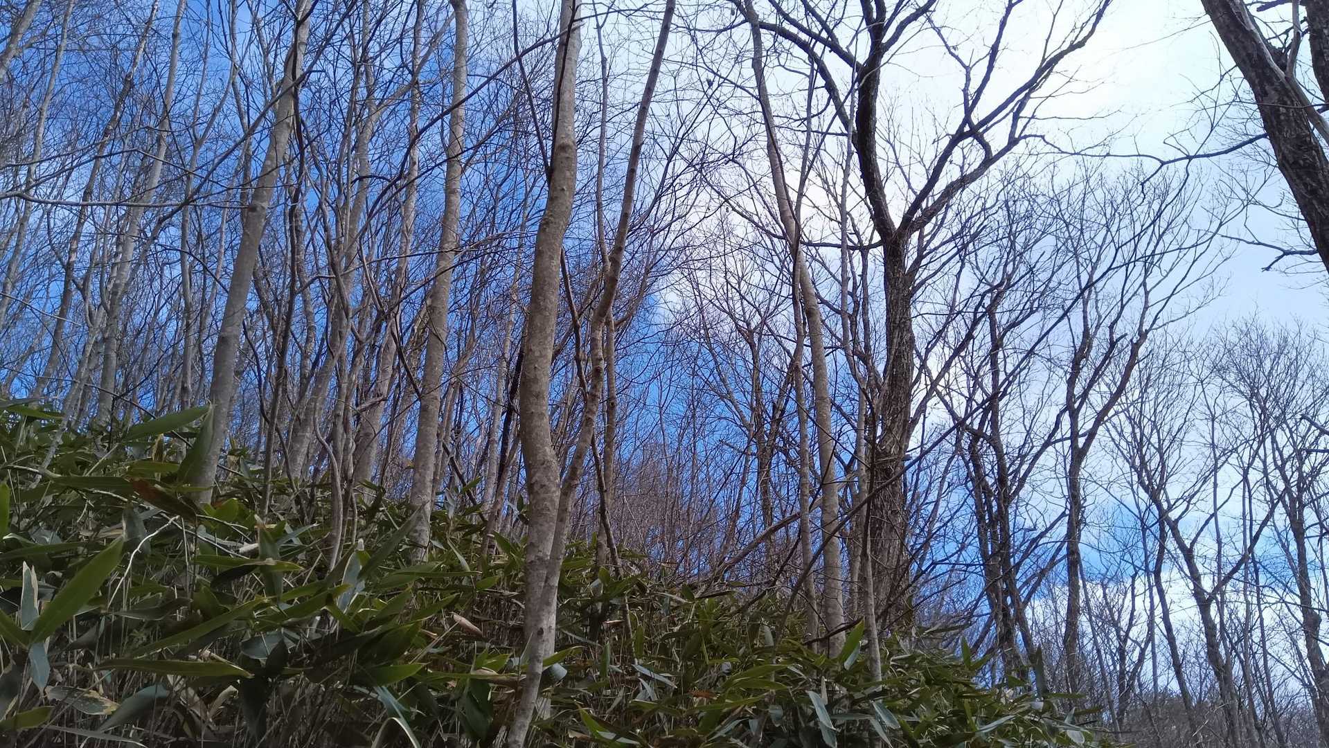 青空だー。日山選んで正解。