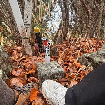 着いた〜👍三角点もあります🥾
徒歩8分〜細い道〜舐めちゃいけませんね〜💦