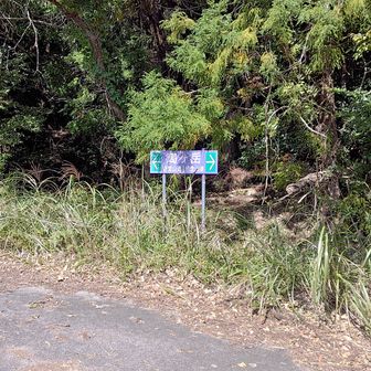 道が開かないY字路になっているところ。ここで急にどっち周りにするかまじめに検討しました。