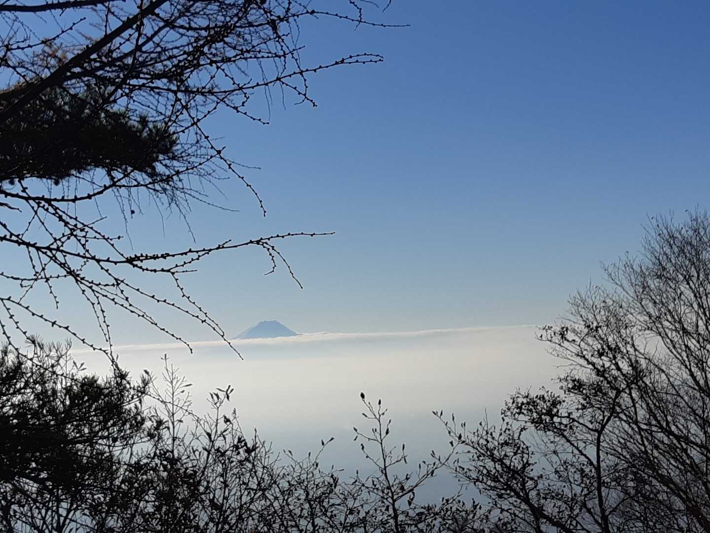 雲海の向こうに、🎵頭を雲の上に出し～の富士山