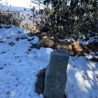 山頂手前に三角点