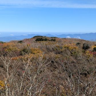 〈名松新道〉下山方向