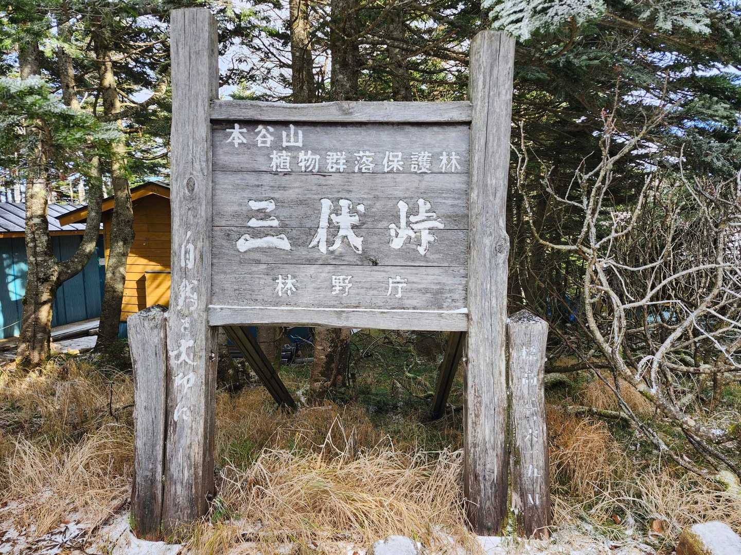 懐かしい😃