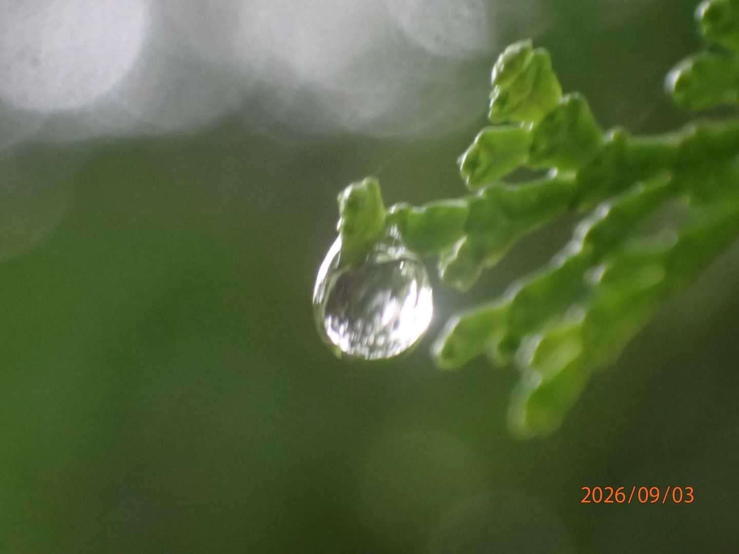 💧