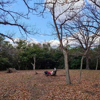 山頂はひらけていて広場のようですが、山頂プレートと展望は無し