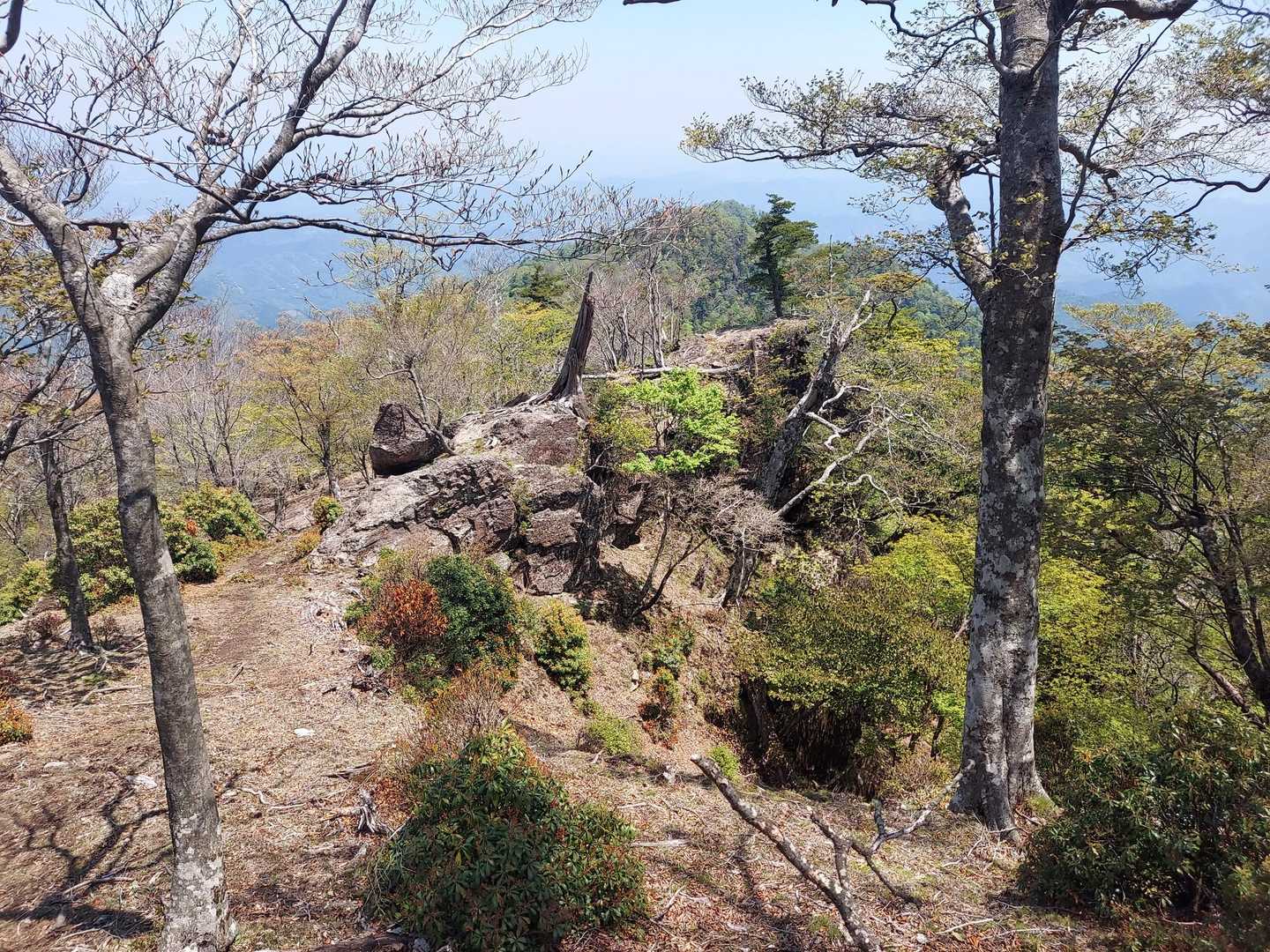 傾山 往復コースの写真