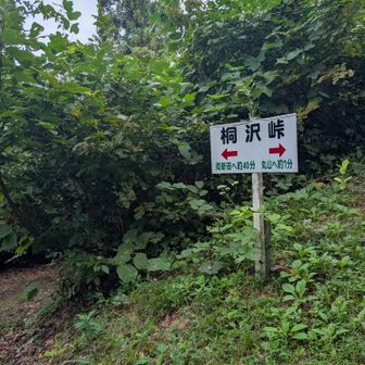 桐沢峠